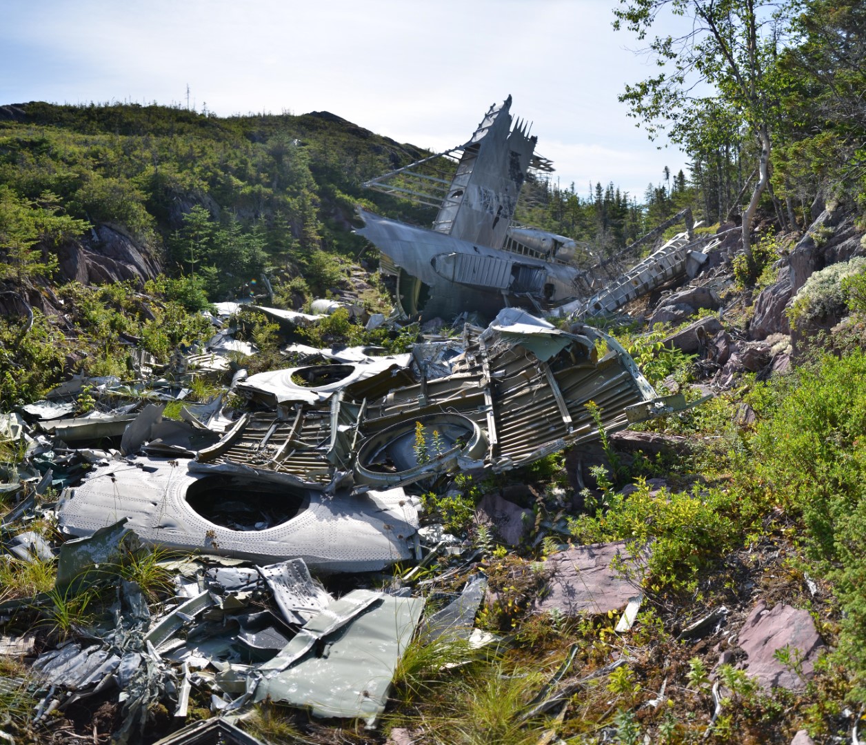 B36 Plane Crash Site