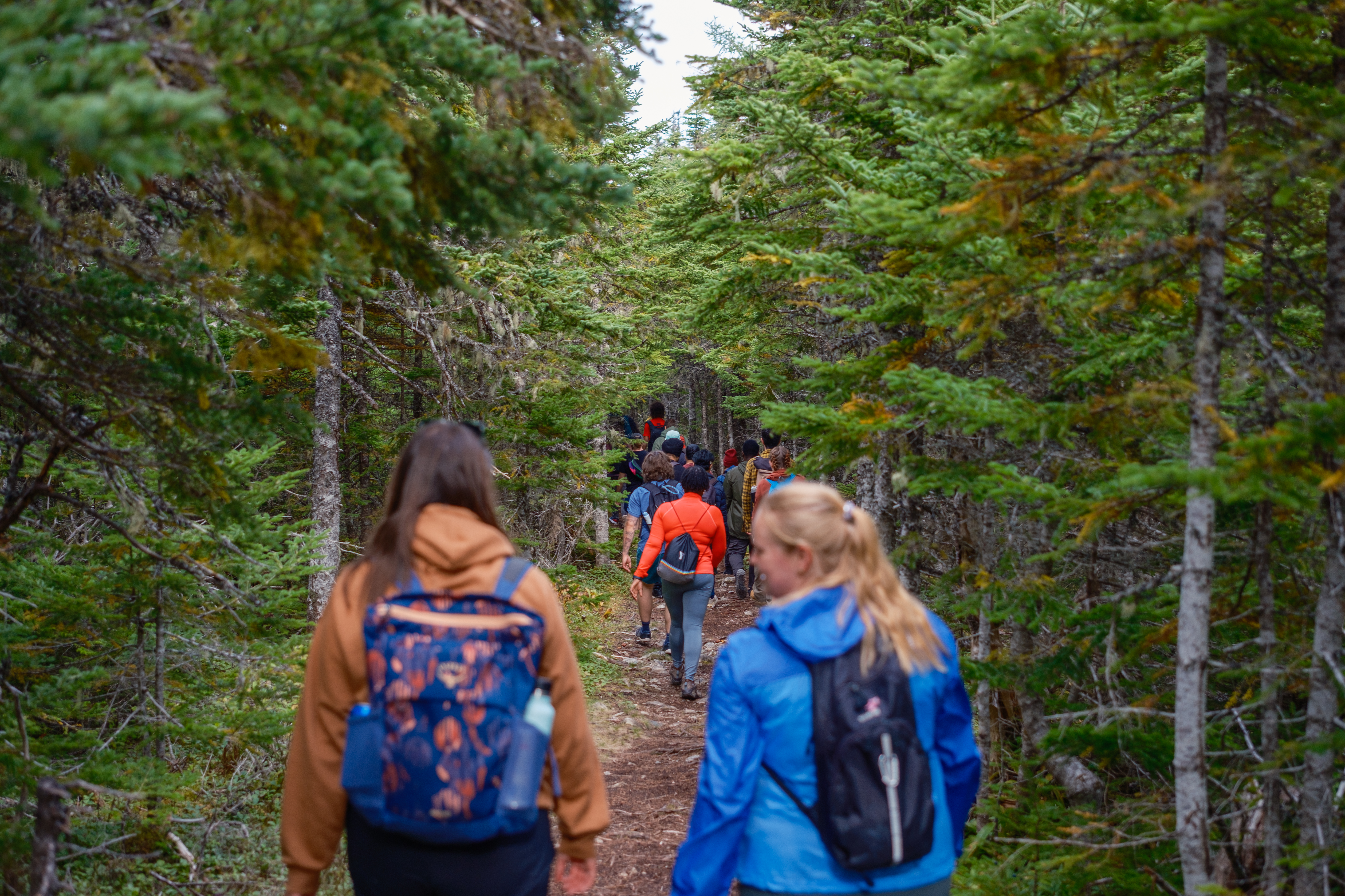 Upcoming hike trail view