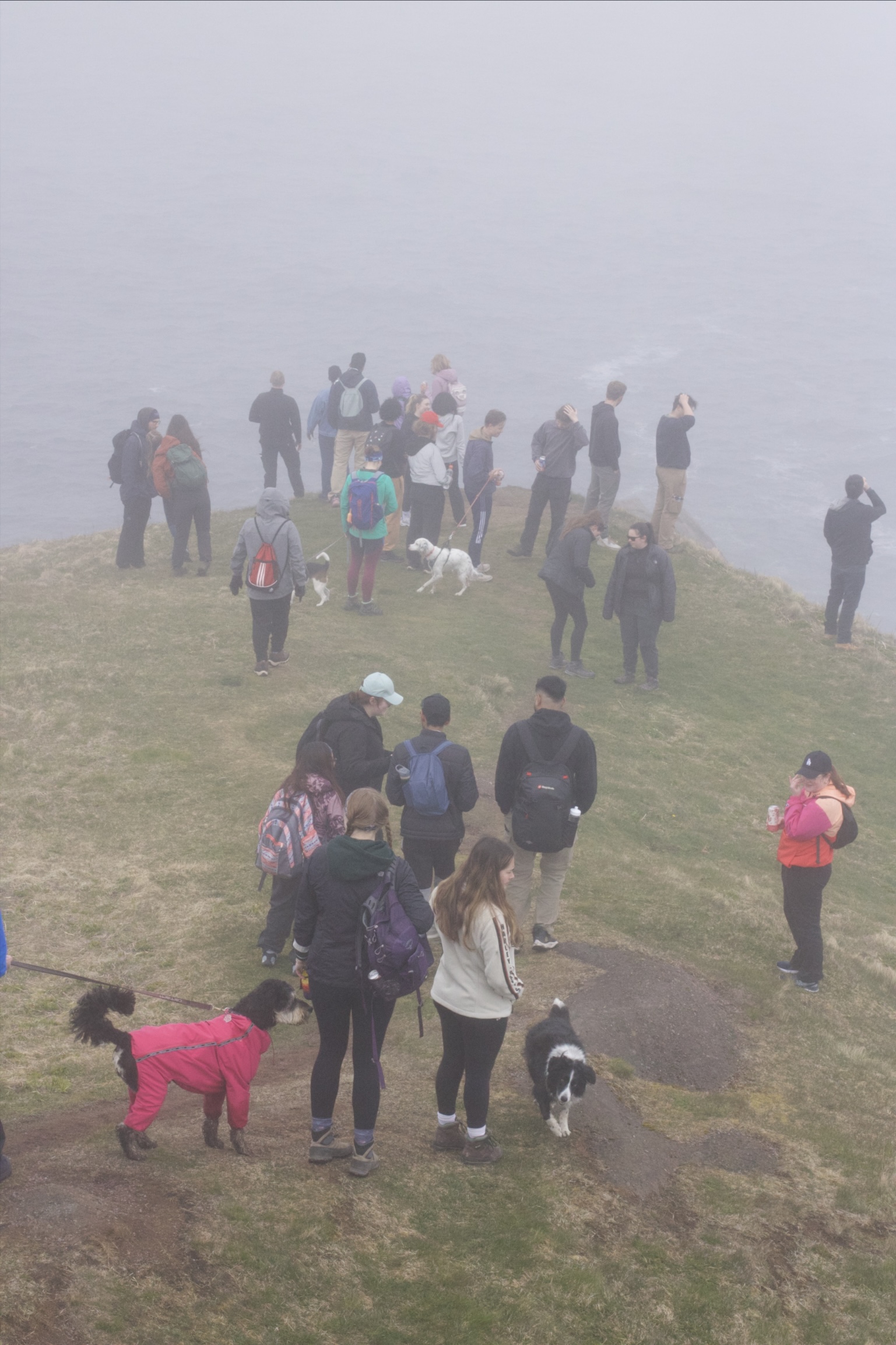 Photo from Cobbler's Path