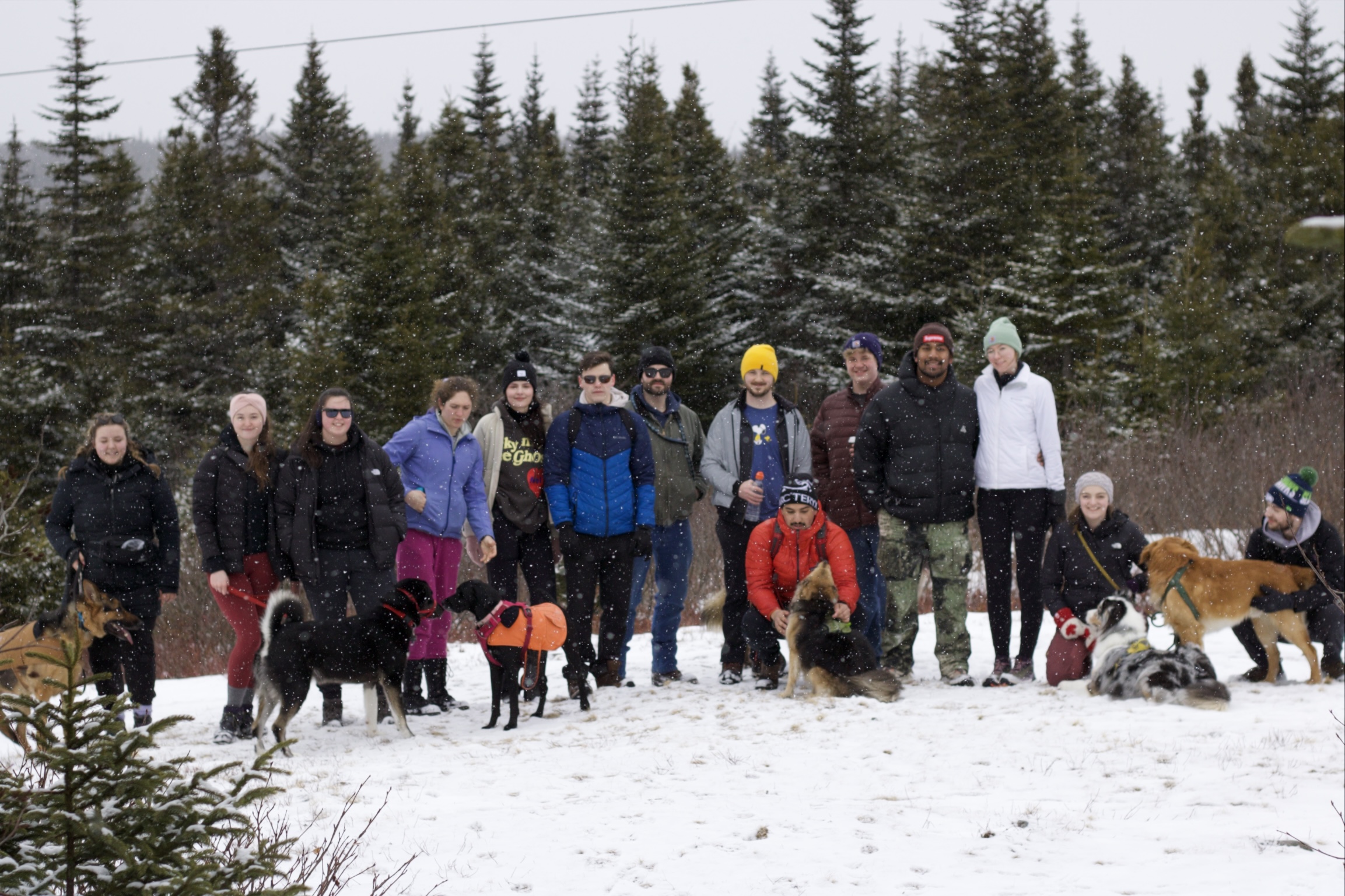 Photo from Quidi Vidi Loop