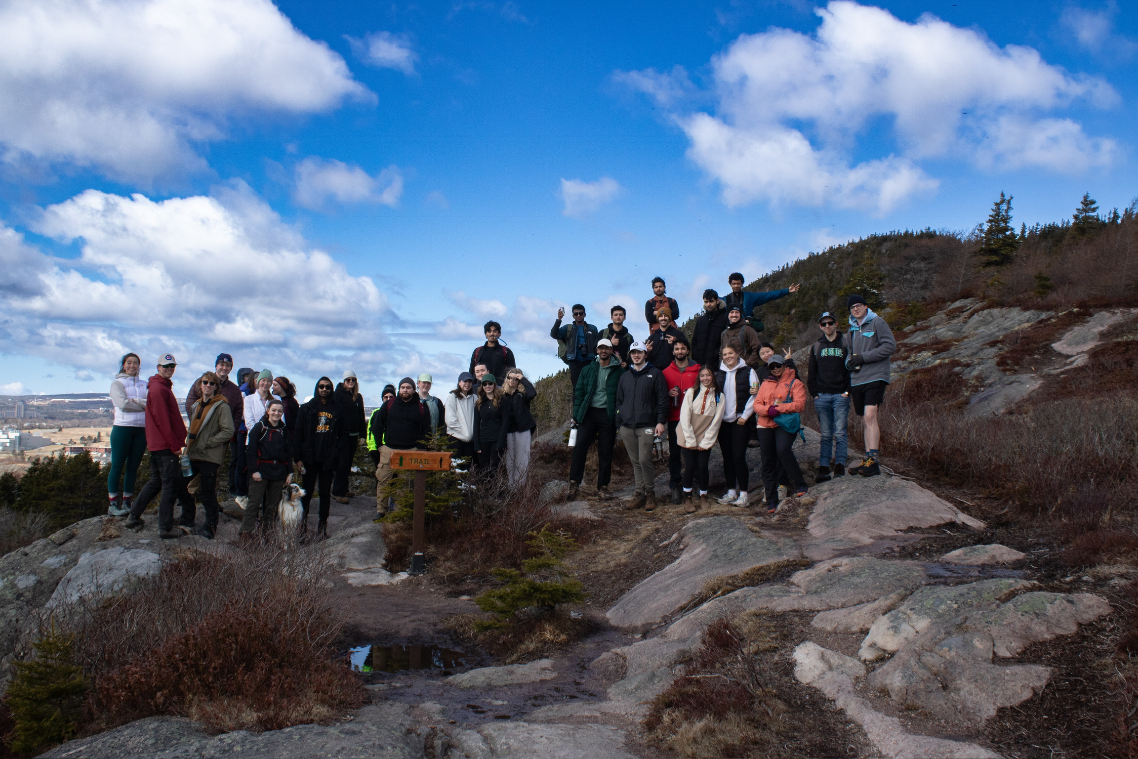 Photo from Signal Hill Loop
